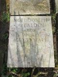 image of grave number 471857